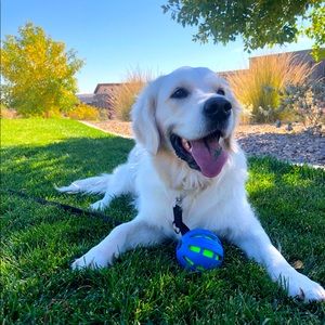 Meet your Posher, Jeannie